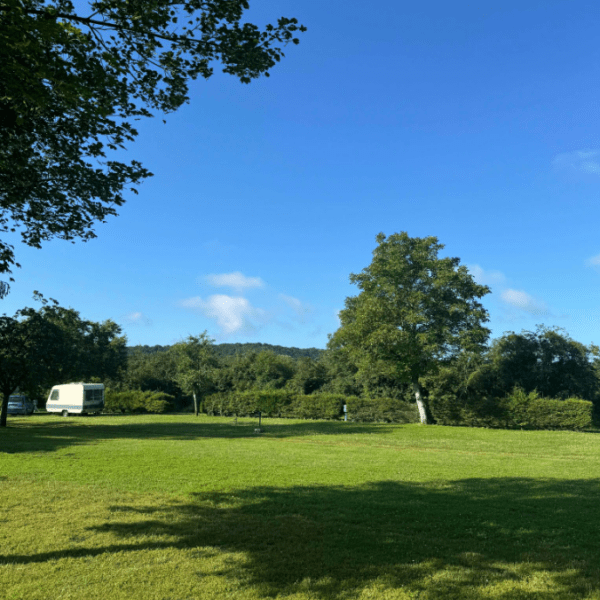 vue sur la nature du camping les Naiades dans les Ardennes