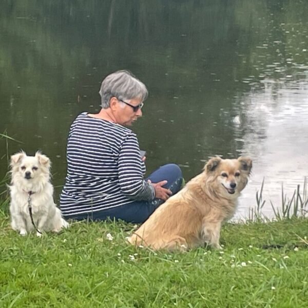 chiens dans le camping les Naiades dans les Ardennes