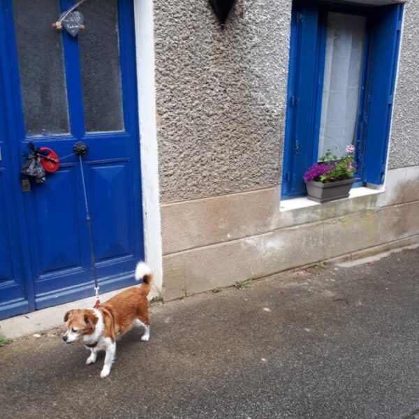 Gîte Kêr Kakisse en Bretagne à Josselin dans le Morbihan proche de Brocéliande