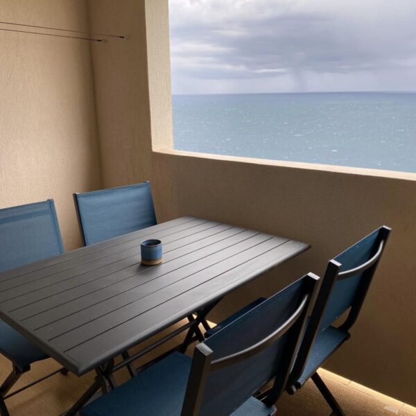 salon de l'appartement 2-Appartement T2 climatisé, vue mer, à Banyuls sur mer - emmenetonchien.com