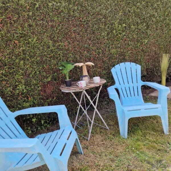 Salon de jardin du Gite Gaia à Lery en Normandie dans l'Eure