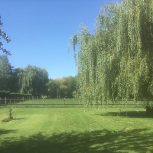 Jardin clos des Gites Le Paddock du Bec en Normandie au Bec-Hellouin dans l' Eure