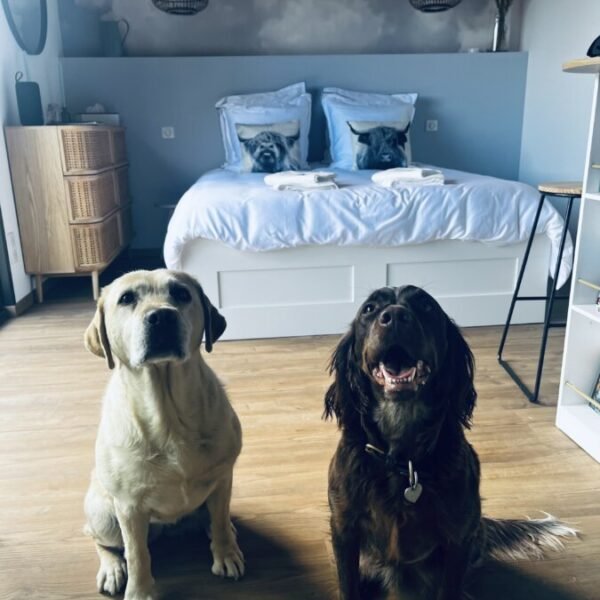 chiens en vacances au Cottage du potager dans l'Aube