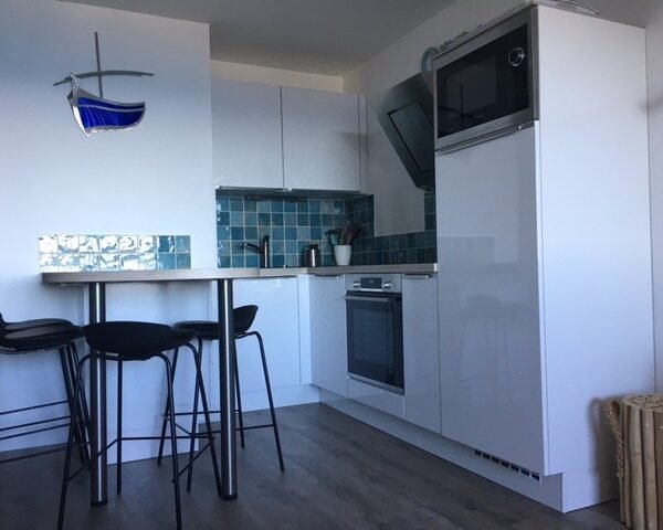 cuisine d'un appartement qui accepte les chiens à banyuls-sur-mer