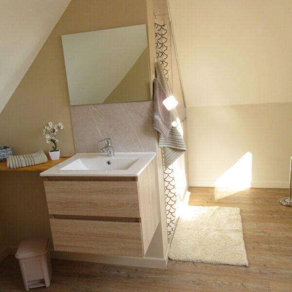salle de bain du gîte de la chouette en Normandie à Hattenville