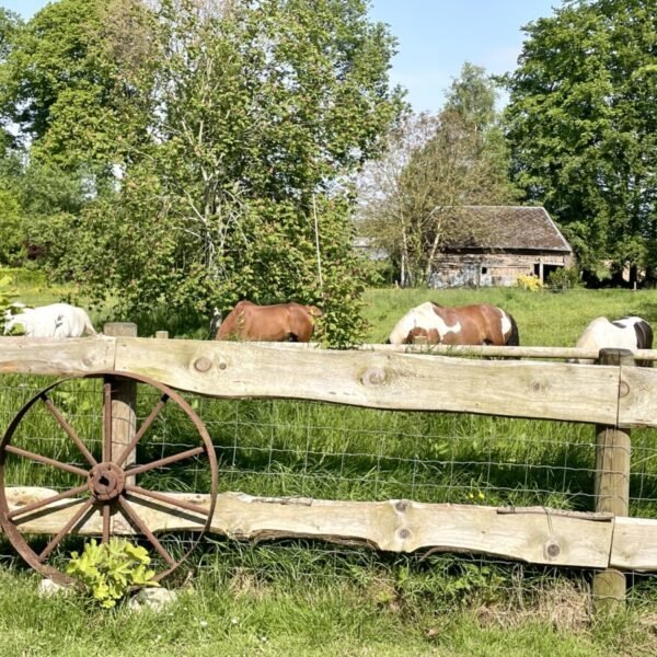 Jardin du Gîte Le Clos du Val à Loup en Normandie dans la Seine Maritime proche d'Etretat