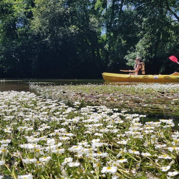 balade sur la rivière en fleurs avec Parcoul Canoe en Dordogne dans le Périgord en Nouvelle Aquitaine