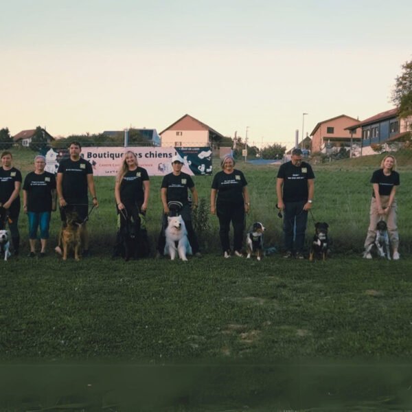 Centre Canin Educ'stucieux