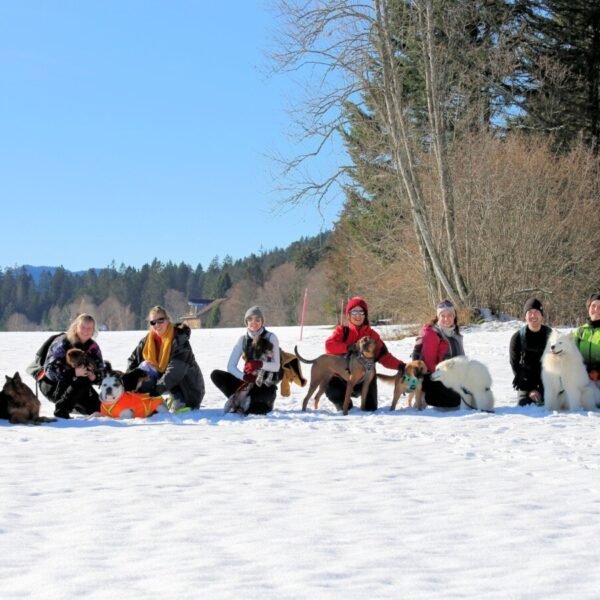 Centre Canin Educ'stucieux