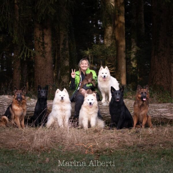 Centre Canin Educ'stucieux