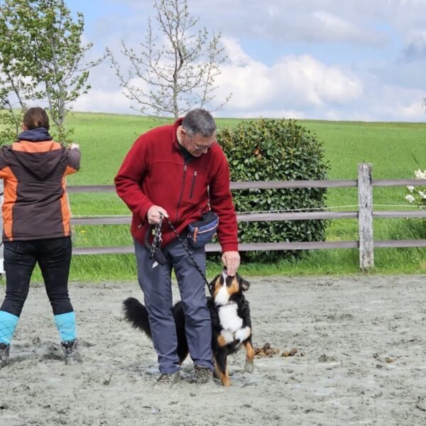 Centre Canin Educ'stucieux