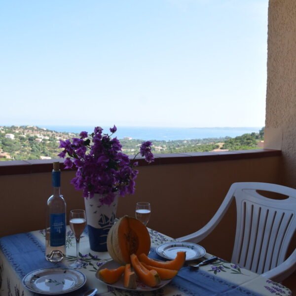 Terrasse des Gites Flovacances dans le Var sur la Cote d'azur à Roquebrune sur Argens