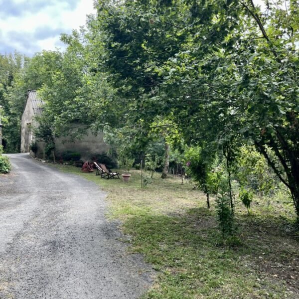 Jardin des Gites Parenthèse en Forêt dans Tarn en Pleine nature en Occitanie