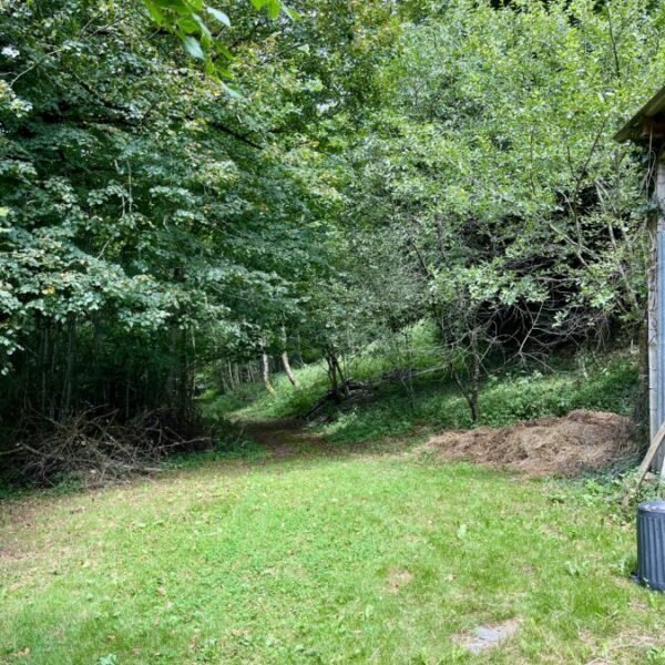 Jardin des Gites Parenthèse en Forêt dans Tarn en Pleine nature en Occitanie