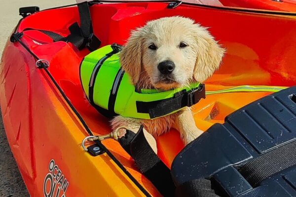 Kayak Emeraude Aventure