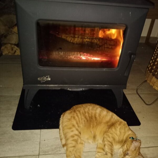 Chat devant le poele à bois des Gîtes de Kervarc'h en Bretagne dans le Morbihan à Erdeven