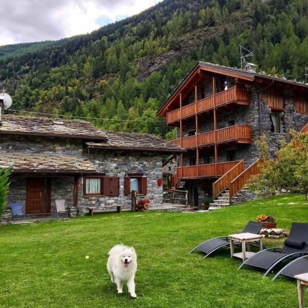 Chien dans le jardin de la Résidence Le Petit Cœur dans le Val d'Aoste en Italie dans les Alpes à La Salle