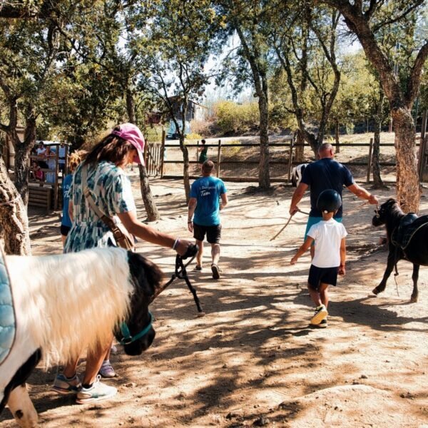 Ballade à poney du Domaine de la Bergerie dans le Var