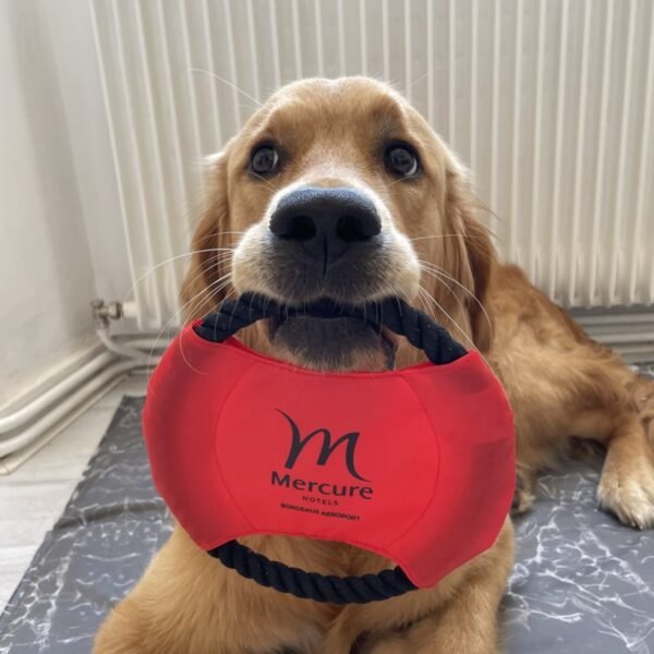 Chien avec le jouet d'accueil de l'Hôtel Mercure Bordeaux Aéroport en Gironde en Nouvelle Aquitaine en France