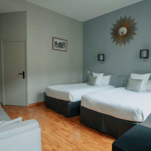 Chambre avec deux lits simple de l'Hotel Albert 1er en Haute-Garonne en Occitanie à Toulouse