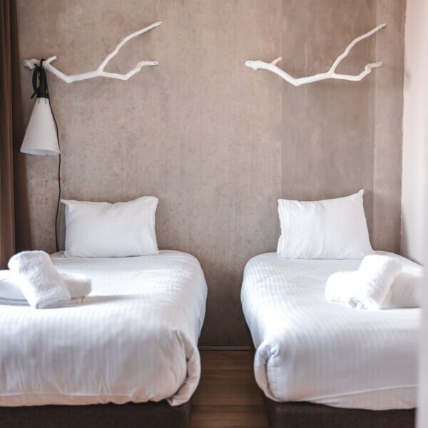 Chambre de L'Ermitage Hôtel à Lyon dans le Rhône dans l'Auvergne Rhône-Alpes