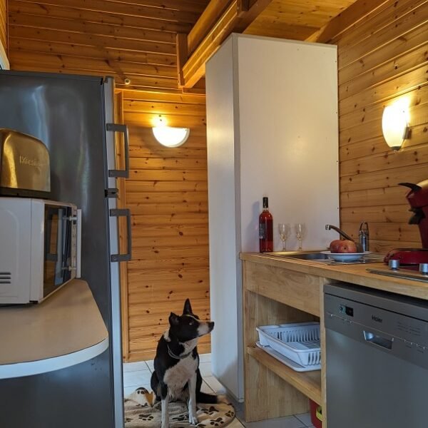 Cuisine d'un hébergement avec un chien assis du camping Les Ventoulines dans la Dordogne Dordogne en Nouvelle Aquitaine à Domme