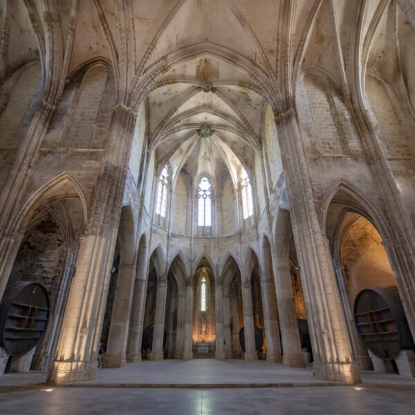 Eglise de l'Abbaye de Valmagne dans Hérault en Occitanie à Villeveyrac