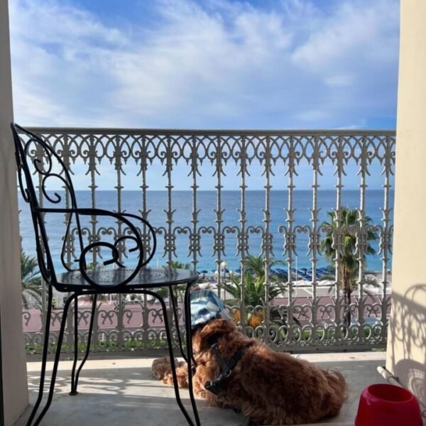 Chien allongé sur le balcon donnant sur la mer de l'Hôtel West End Nice à Nice dans les Alpes-Maritimes en Provence-Alpes-Côte d'Azur