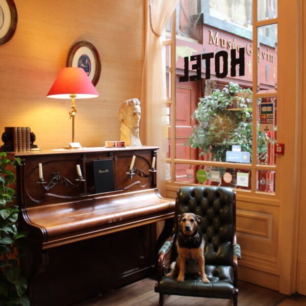 Chien résident de l'hôtel sur le siège devant le piano de la réception de l'HÔTEL CHOPIN à Paris en île de France