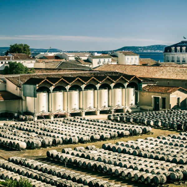 Stockage des barils de Vermouth de La Maison Noilly Prat dans l'Hérault en Occitanie à Marseillan