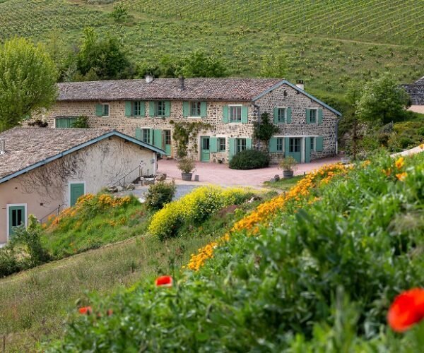 Domaine Viticole Baron de l’Ecluse