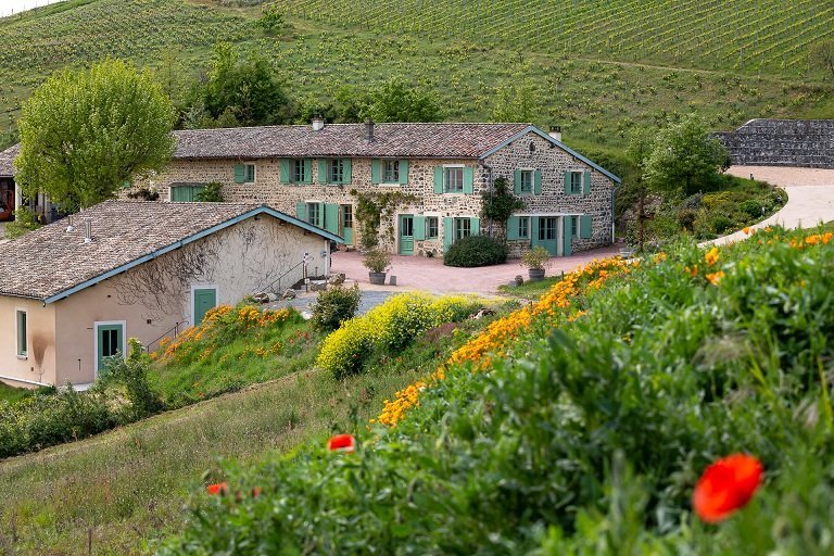 Domaine Viticole Baron de l’Ecluse