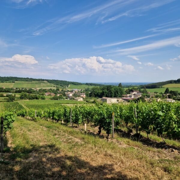 Vue depuis les vignes du Château Chardonnay à Chardonnay en Saône-et-Loire en Bourgogne-Franche-Comté