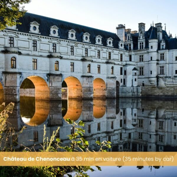 Le chateau de Chenonceau à 35 minutes en voitures de l'appartement Le Bichon en Indre-Et-Loire dans le Centre-val-de-Loire à Tours