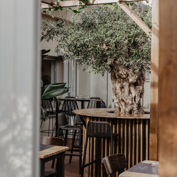 La terrase du Restaurant Les jardins de Saint Germain à Vienne en Isère en Auvergne-Rhône-Alpes