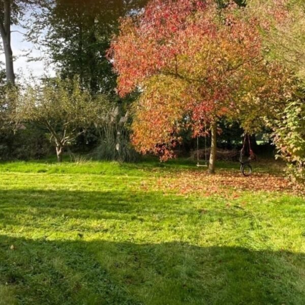 Jardin de 4 000m carré du Gîte La Chasse en Seine-Maritime en Normandie à Anglesqueville-la-Bras-Long