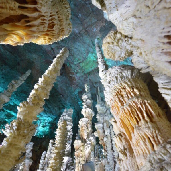 Des stalagmites dans la Grotte de l'Aven Armand à Hures-la-Paradeen Lozère en Occitanie