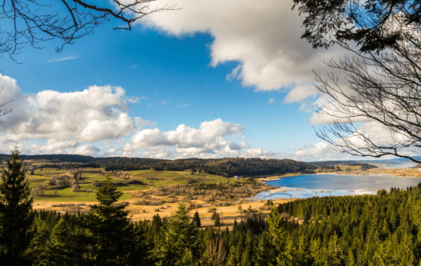 Réserve Naturelle du Lac de Remoray