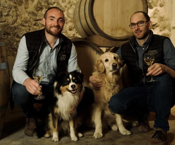 Cave Champagne Harlin Père et Fils