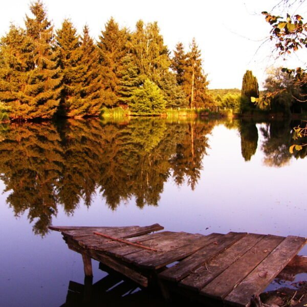 Un ponton d'un étang de pêche du domaine du Gîtes du Moulin de la Jarousse à Jarousse en Dordogne en Nouvelle-Aquitaine