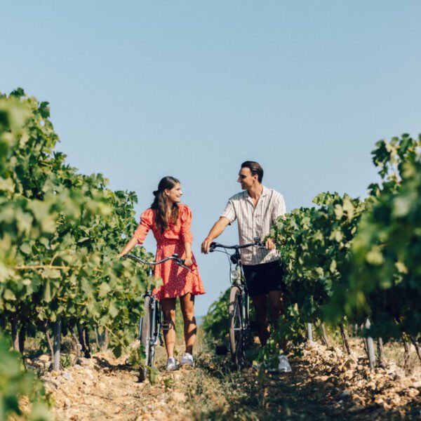 Balade à vélo dans les vignes proches du Camping Ma Prairie à Canet en Roussillon dans les Pyrénées Orientale en Pays Catalan