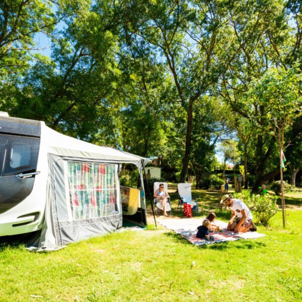 Emplacement sous les arbres au Camping Ma Prairie à Canet en Roussillon dans les Pyrénées Orientale en Pays Catalan