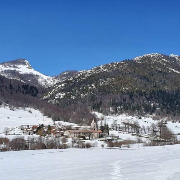 Nature sous la neige près du Gîte La Vercorelle dans la Drôme dans le Vercors à Léoncel en Rhône Alpes