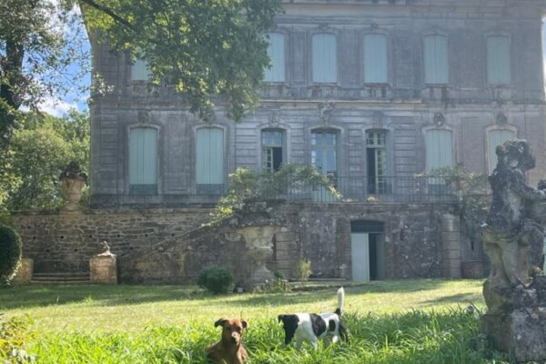 Château de l’Engarran