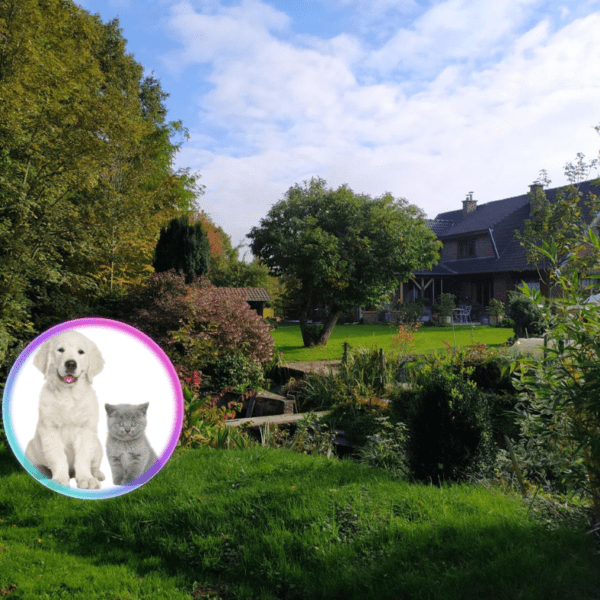 Gîte Au bout d'un Etang