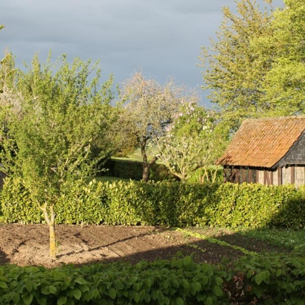 Le jardin ensoleillé chez la Gîte - La Briqueterie à Quesnoy le Montant à Somme en Hauts de France