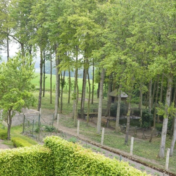 Vu sur la nature chez la Gîte - La Briqueterie à Quesnoy le Montant à Somme en Hauts de France