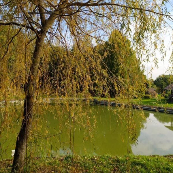 Gîte Au bout d'un Etang