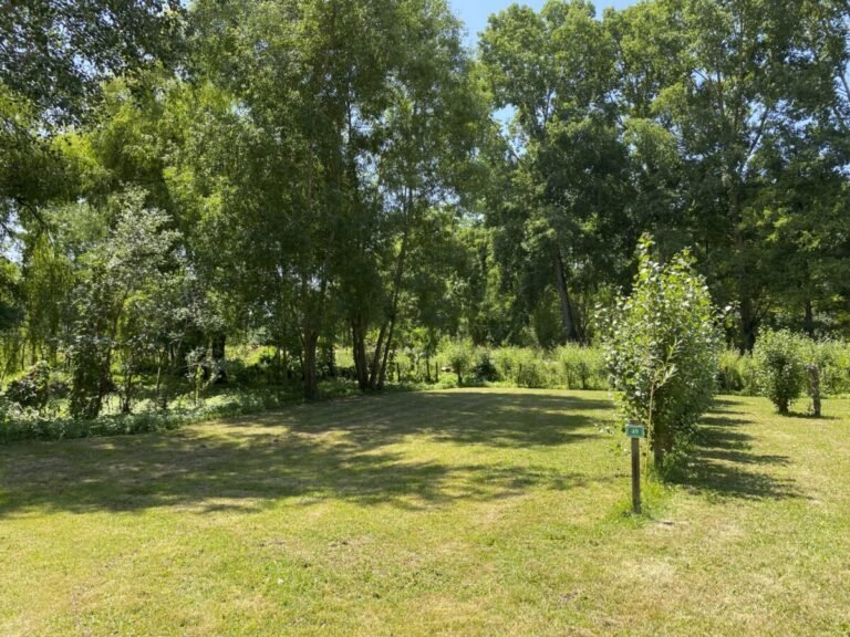 Camping Le Marais Sauvage – photo 2