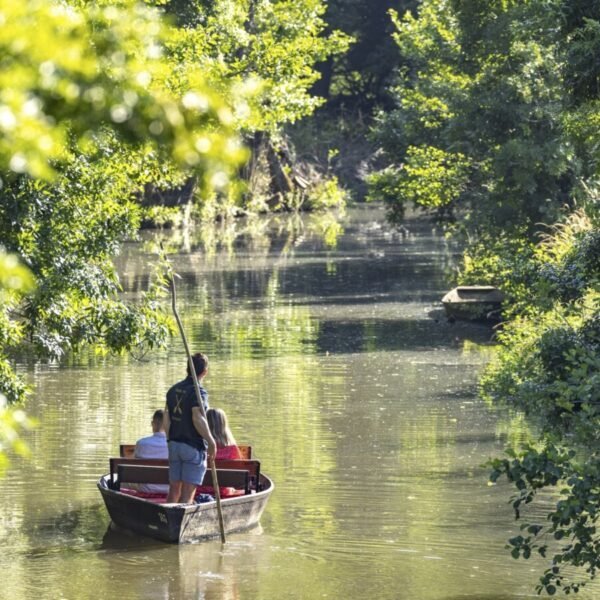 Camping Le Marais Sauvage